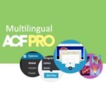 Advanced Custom Fields Multilingual | ACFML- WPML