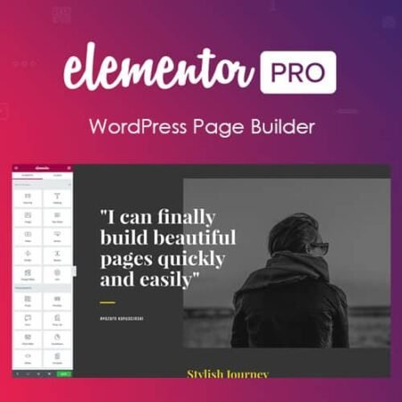 Elementor PRO - Best Website Builder Plugin for WordPress