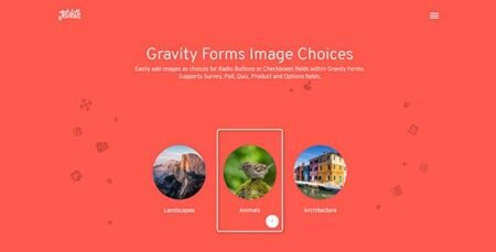 Gravity Forms Image Choices by JetSloth