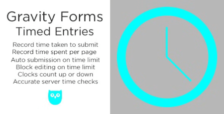 Gravity Forms Timed Entries Addon (Copy)