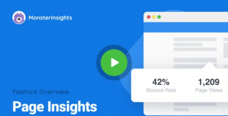 MonsterInsights Page Insights Addon
