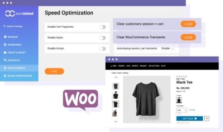 WP Speed of Light