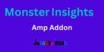 MonsterInsights - Amp Addon