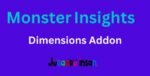 monsterinsights dimensions
