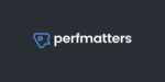 Perfmatters - Lightweight WordPress Performance Plugin